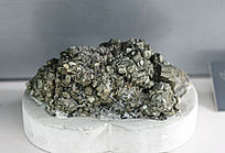 �㽭���λ�����