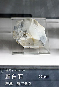 �㽭���嵰��ʯ