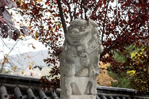 �ÿ���ʯ���