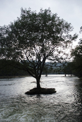 �ӵ�����