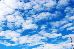 �����µİ���