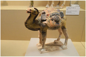 �ƴ�����ʨ������ٸ