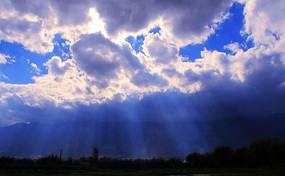 ����е��ƶ�