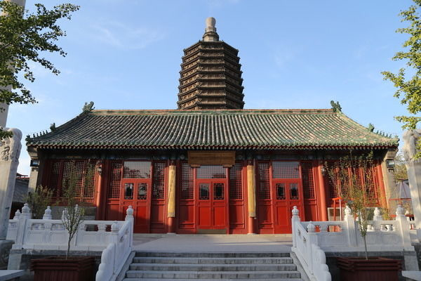 �����½�����