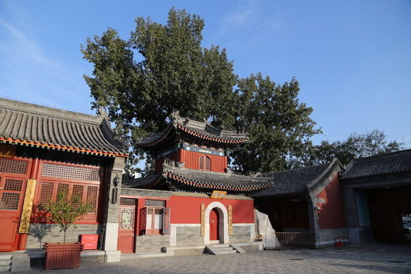 ��������¥