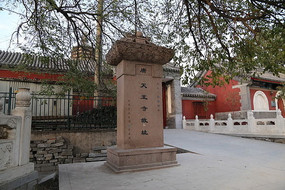 �����¹�ַ