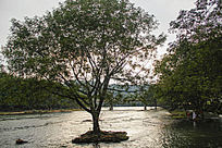 �����д���