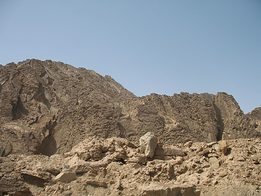 �����µ��ŵ���ò