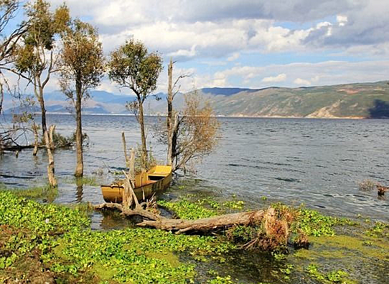 ���ϴ���������ɫ