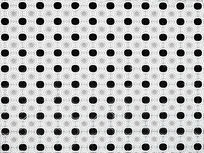 ���Ի���������ͼ��