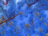 ���Ի���������Ӱ��