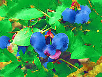 ���Ի����λ���ݮ��