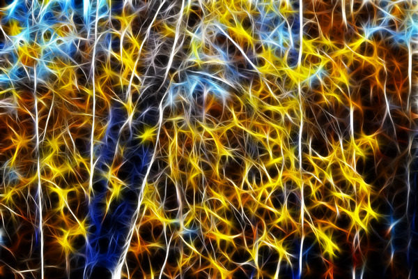 ���Ի����λ���Ҷ��