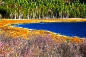 ���Ի���ɭ�ֺ���