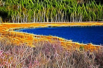 ���Ի���ɭ�ֺ���