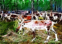 ���Ի���ɭ��¹Ӱ��