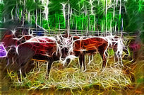 ���Ի� ��ɭ��ѱ¹��