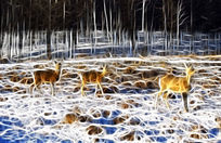 ���Ի����������ӡ�