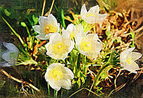 �����ͻ�����ͷ�̡�