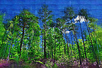 �����ͻ����ž����֡�