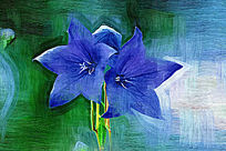 �����ͻ����۹�����