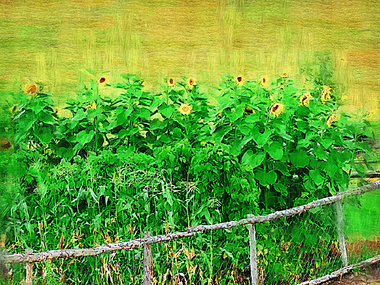 �����ͻ������տ���