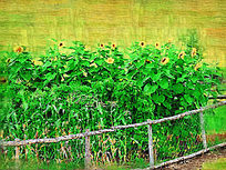 �����ͻ������տ���