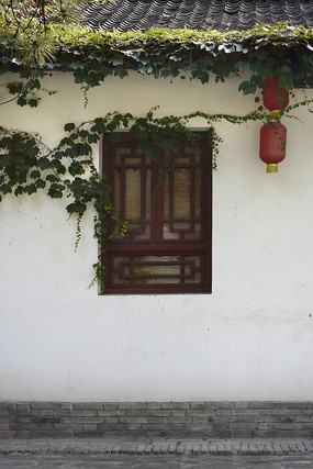 �Ž��ϵ���ǽ��