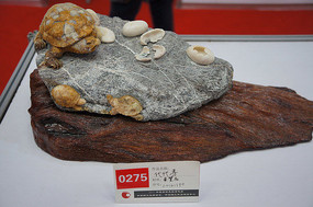 ���ʯ������ٵ��