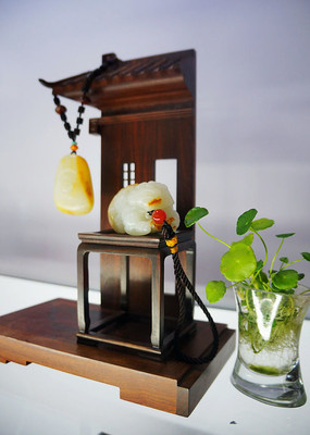 ��ֲ����׹