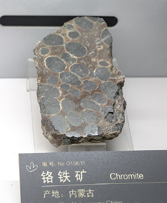 ���ɹŸ�����