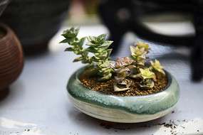 ��װ�������