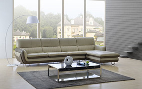 ����������ţƤɳ��