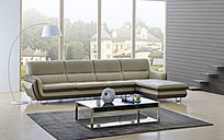 ����������ţƤɳ��