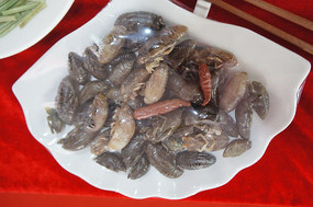 ʯ��֪�˲�Ӽ�ڼ�