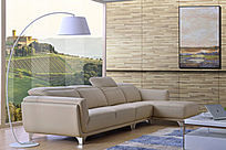 ʱ�о�������ɳ��