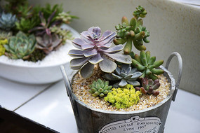 Ͱ�Զ������