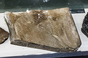 ��ʯ̿����ľ