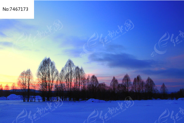 ѩԭ����ĺɫͼƬ