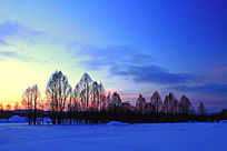 ѩԭ����ĺɫ