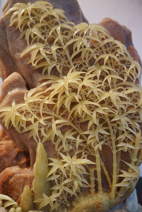 �������