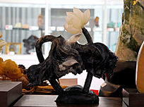 �������������Ⱦ