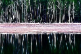 ���Ի����������֡�