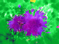 ���Ի�����֮�ϡ�