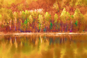 ���Ի����������֡�