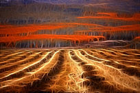 ���Ի�������ũ�