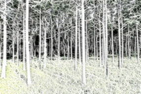 ���Ի������֡�