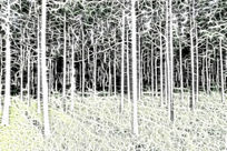 ���Ի������֡�