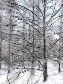 ���Ի�������ѩ����