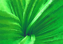 ԻֲҶ